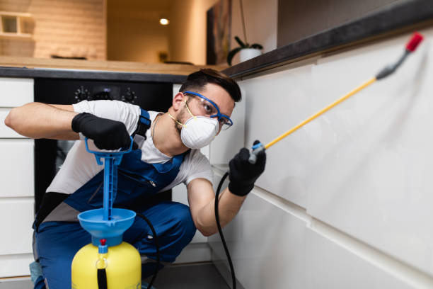 Reliable Arlington, GA Pest Control Solutions