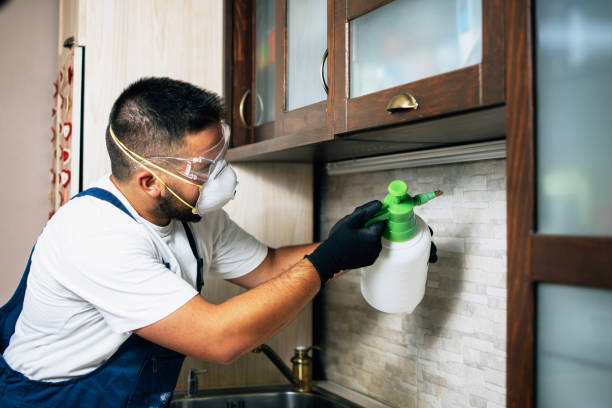 Best Rat Extermination Near Me  in Arlington, GA