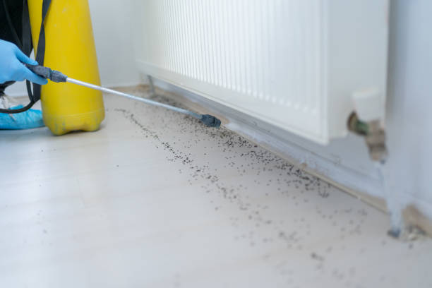 Best Exterminator Services  in Arlington, GA