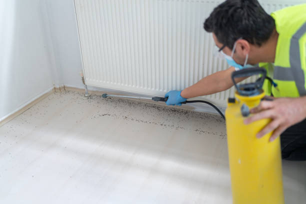 Best Flea Control Services  in Arlington, GA