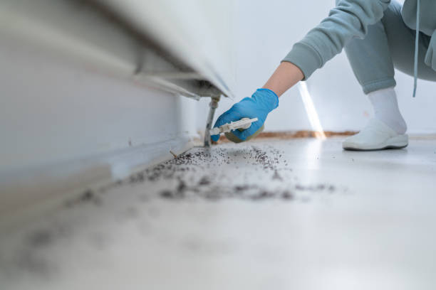 Best Cockroach Control Services  in Arlington, GA